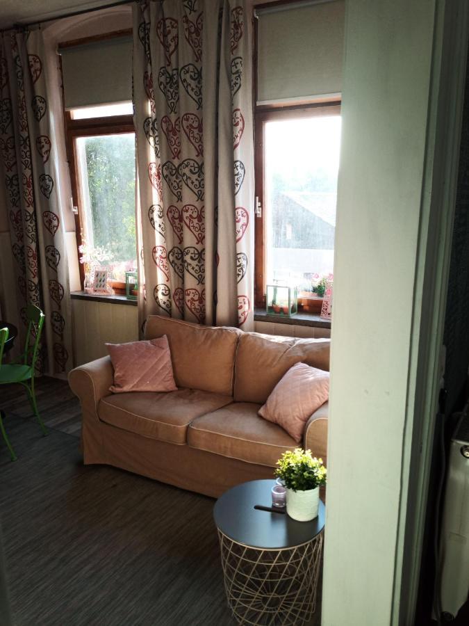Zur Friedrichsruh Bed & Breakfast Oelsnitz  Exterior foto