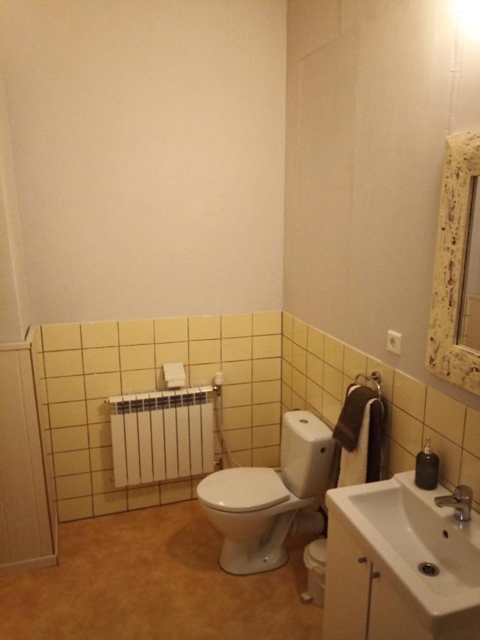 Zur Friedrichsruh Bed & Breakfast Oelsnitz  Exterior foto